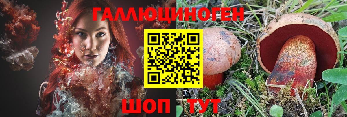 Галлюциногенные грибы прущие грибы Новокубанск