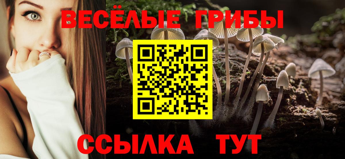 Галлюциногенные грибы мицелий  Вход с VPN  Новокубанск  цена наркотик  Псилоцибиновые грибы мухоморы 